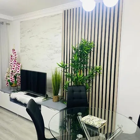 Excelente Atico * 알고파