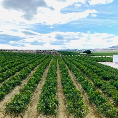 Excelente Atico 아파트